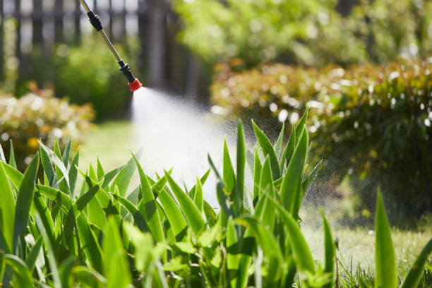 24/7 Emergency Wasp Removal experts in Mazomanie, WI