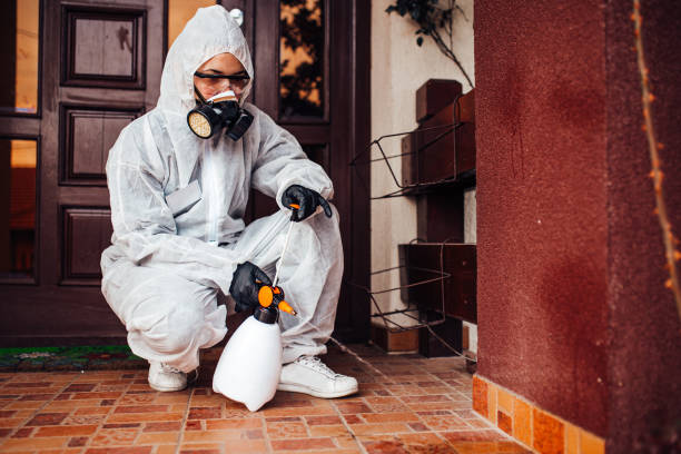 Reliable Wasp Removal contractor in Mazomanie, WI by Show Me Pest Control