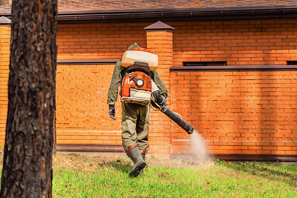 Top rated local Wasp Removal specialists in Mazomanie, WI